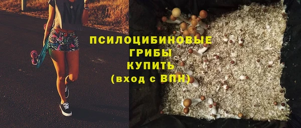 герыч Богородск