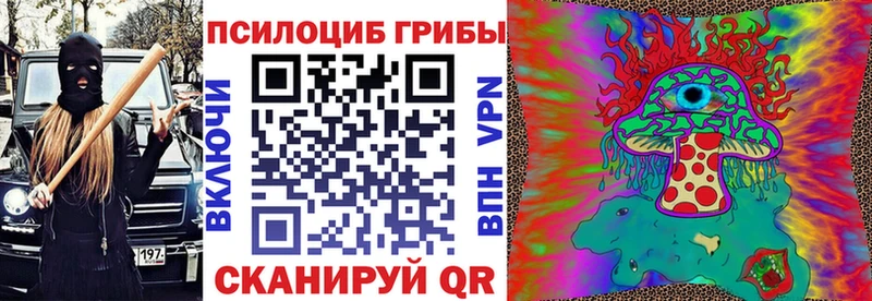 Галлюциногенные грибы GOLDEN TEACHER  Гусь-Хрустальный 